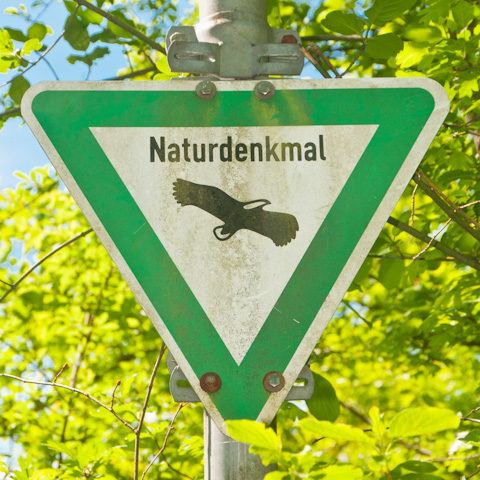 Naturdenkmal Kohlergrund
